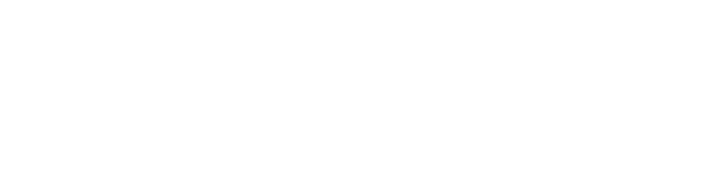 Logo cailloux solution